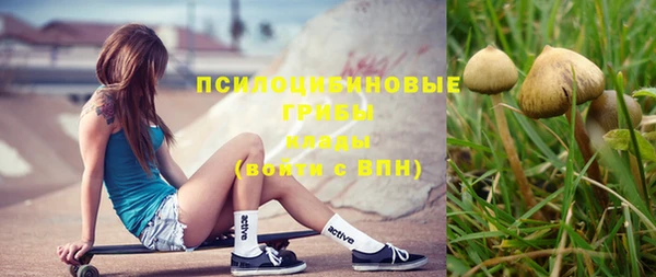 соль курить ск Медвежьегорск